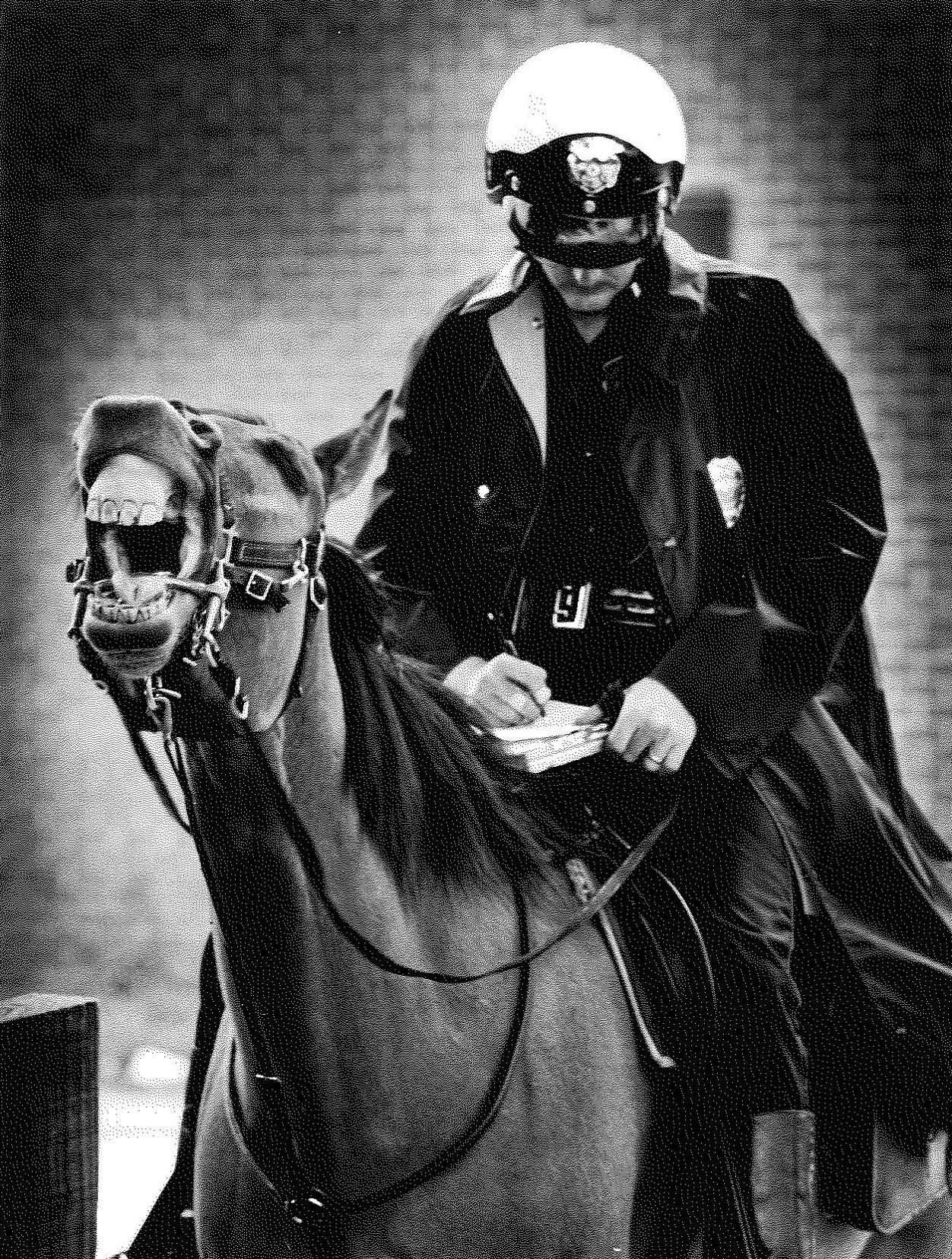 Police horses